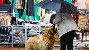 Chuva retorna ao Rio Grande do Sul neste domingo; veja o que esperar