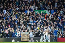 Brighton haalt Nederlandse vervanger voor Van Hecke uit eigen competitie