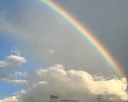 雨上がりの虹の画像