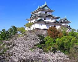 和歌山城の画像