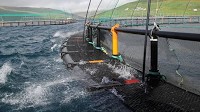 Hampidjan acquires Mørenot