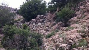 نتیجه تصویری برای تست هوش تصویری شکل در شکل