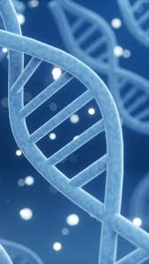 Genetics company data breach may have exposed medical conditions, Social Security numbers.