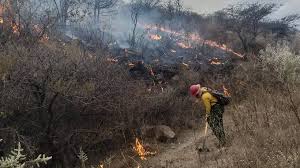 Activan a brigadistas por incendio forestal en el Bosque de la Primavera, en el paraje Los Asadores