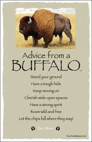 Quotes About Buffalo. QuotesGram via Relatably.com