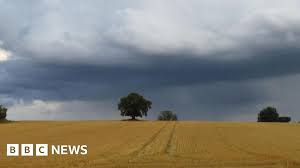 BBC - News update