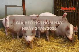 Báo Kinh tế đô thị - News update