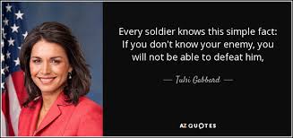 TOP 16 QUOTES BY TULSI GABBARD | A-Z Quotes via Relatably.com