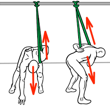 Image result for joint flexibility exercise