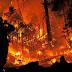 Wildfires have now burned a massive 8 million acres across the US