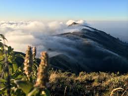 Image result for GUNUNG TAMBORA