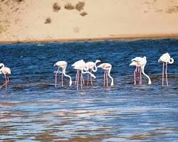 منتزه سوس ماسة الوطني في المغرب