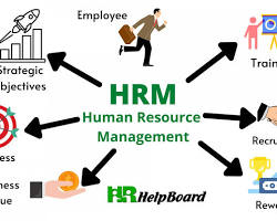 Image of Human Resource Management