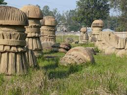 Image result for nagaland images