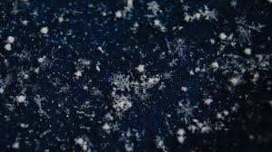 Poll: When's the latest you've seen snow fall in northern Michigan?