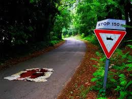 Image result for culture jamming