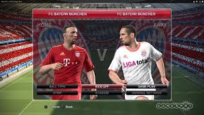 Deskripsi pes14