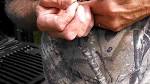 Top Tactics For Using Live Bait For Bream - Game Fish