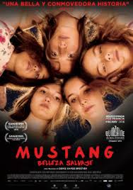 Résultat de recherche d'images pour "mustang film"