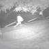 Woman attacked while running in a popular South Tampa park ...