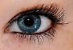 How to Grow Back Eyelashes Faster M