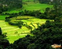 Image of Coorg, Karnataka