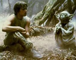 Image result for luke and yoda gif