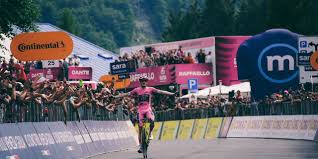 Trend Google: tour de france