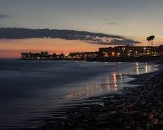 Image of California coastal town with palm trees