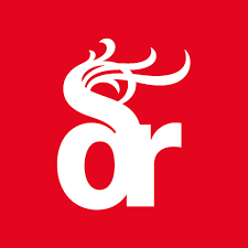 ejderha logo ile ilgili görsel sonucu