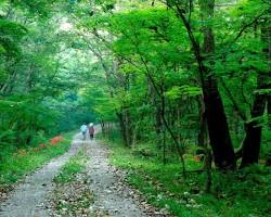 전북 고창 선운산도립공원 풍경, AI로 생성
