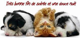 Résultat de recherche d'images pour "bonne fin de soirée"