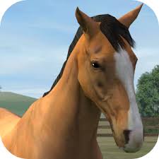 Image result for HORSE