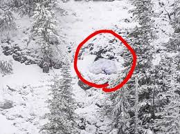 Paraglider lucky to be alive after harrowing near-death ...