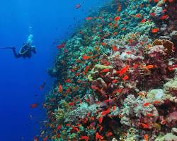 Image of Scuba Diving Havelock Island