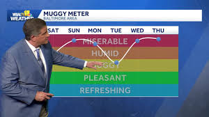 Storms back in the forecast