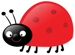 Image result for ladybugs