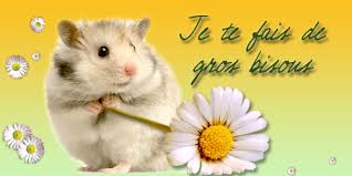 Résultat de recherche d'images pour "gros bisous"