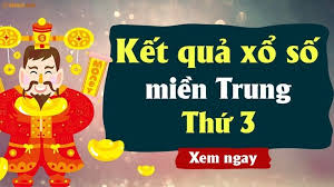 Pháp Luật và Xã hội - News update