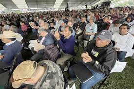 Pensión Hombres Bienestar