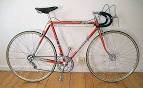 Bilder p crescent pepita