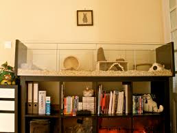 Contoh Kandang Hamster