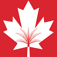 Canadian University of Dubai