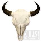 File:Bison skull pile g - , 