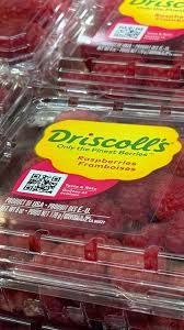 Driscoll's sent berries with excess chemicals to Canada: whistleblower - CBC