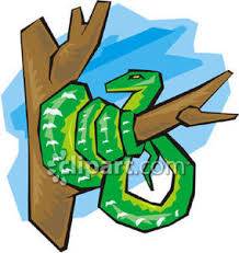 英和画像辞典：(around.)の意味は画像で解説！見るだけで「around.」の意味が分かる・覚えられる 