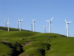 Wind Mill Farm