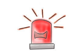 Elster : ce qu'il faut savoir — image 4