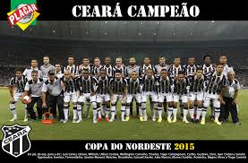 Resultado de imagem para bahia campeão 2015