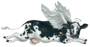 images?q=tbn:ANd9GcQL6o-QLT8iNSX1sCjnJmUv7E8jqC8bczNBZhXzzWNQ2r11RH8N